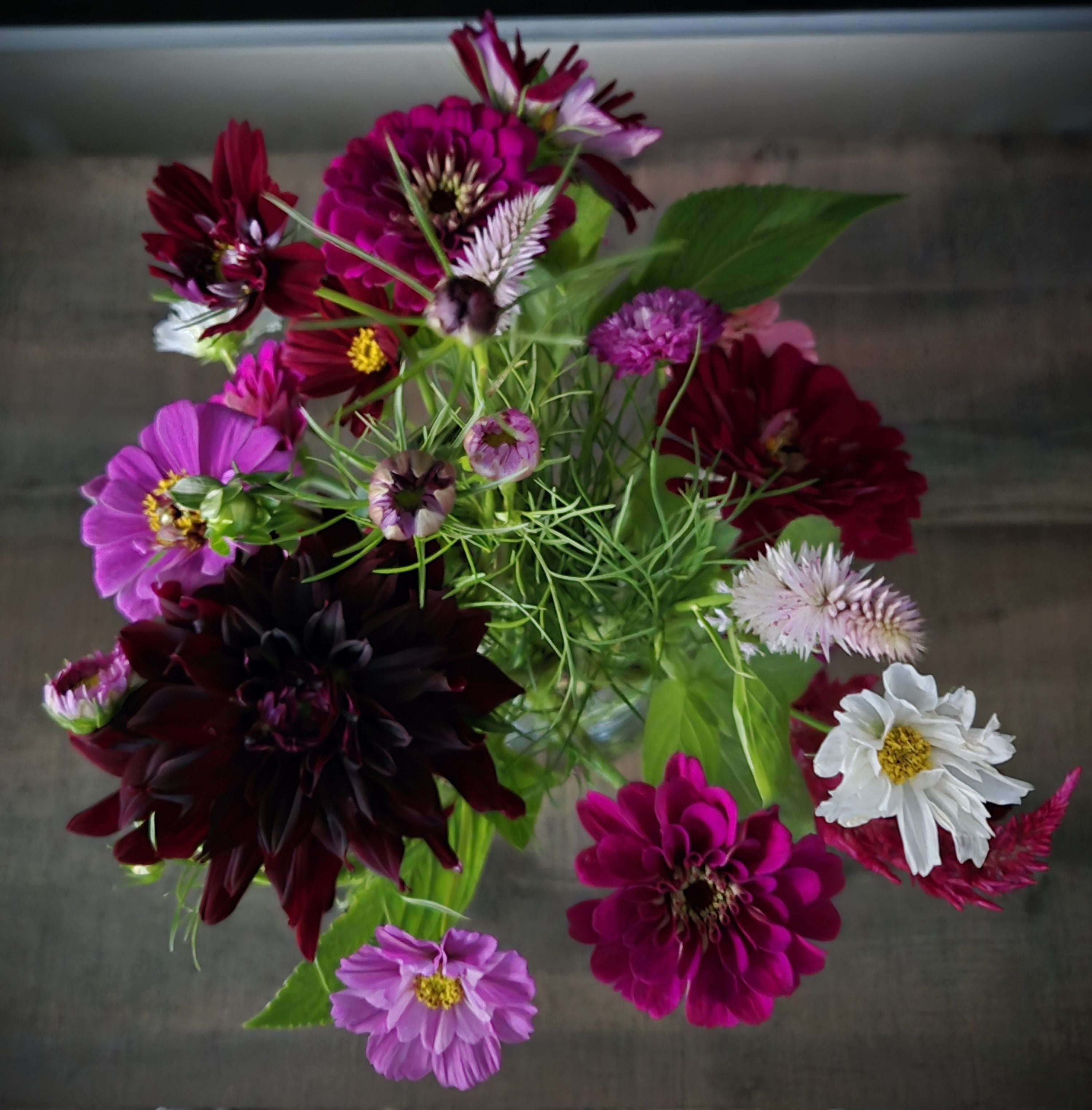 Seasonal Blooms